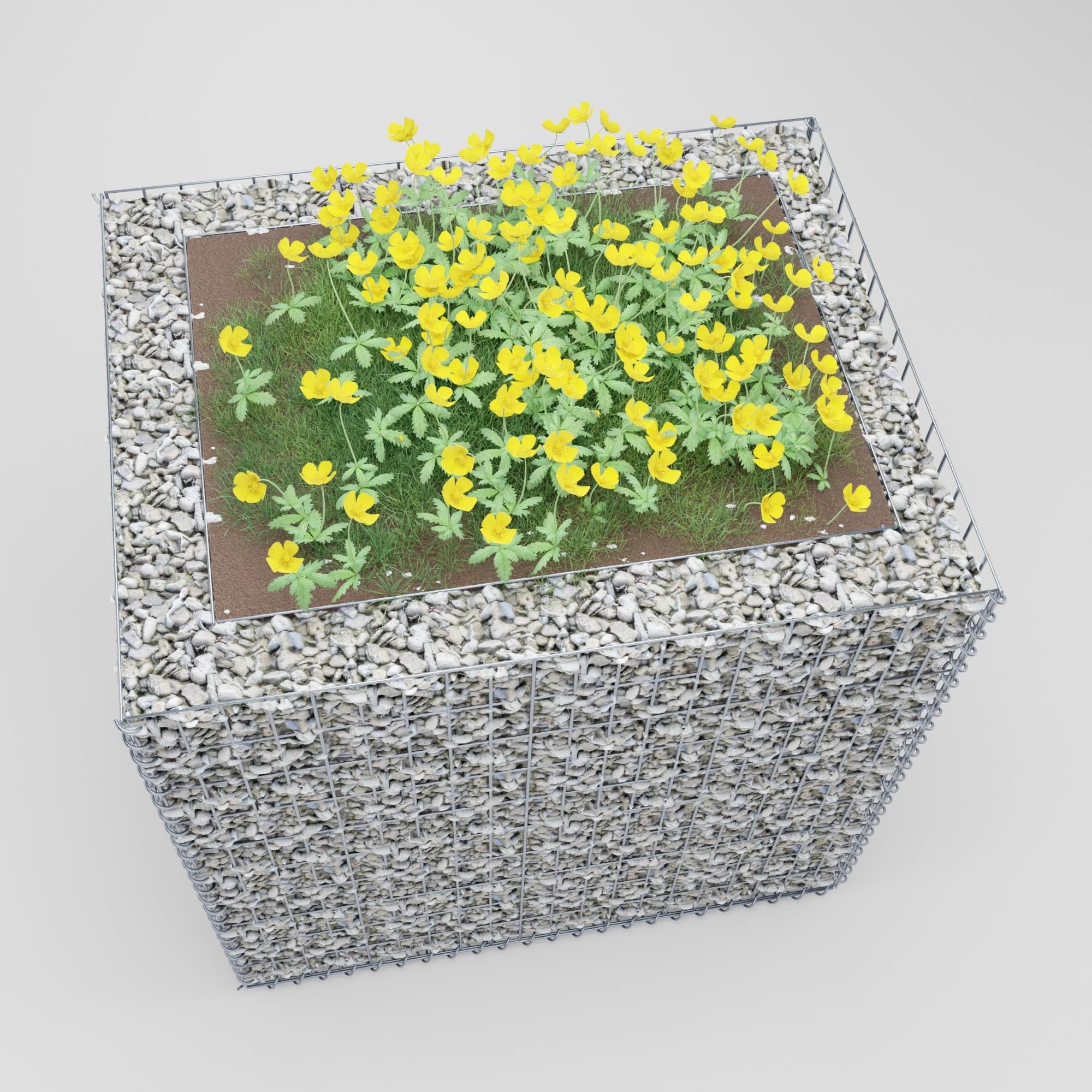 Högbädd, fyrkantig 100 cm x 100 cm x 80 cm (L x H x D), maskstorlek 5 x 10 cm, väggtjocklek 10 cm