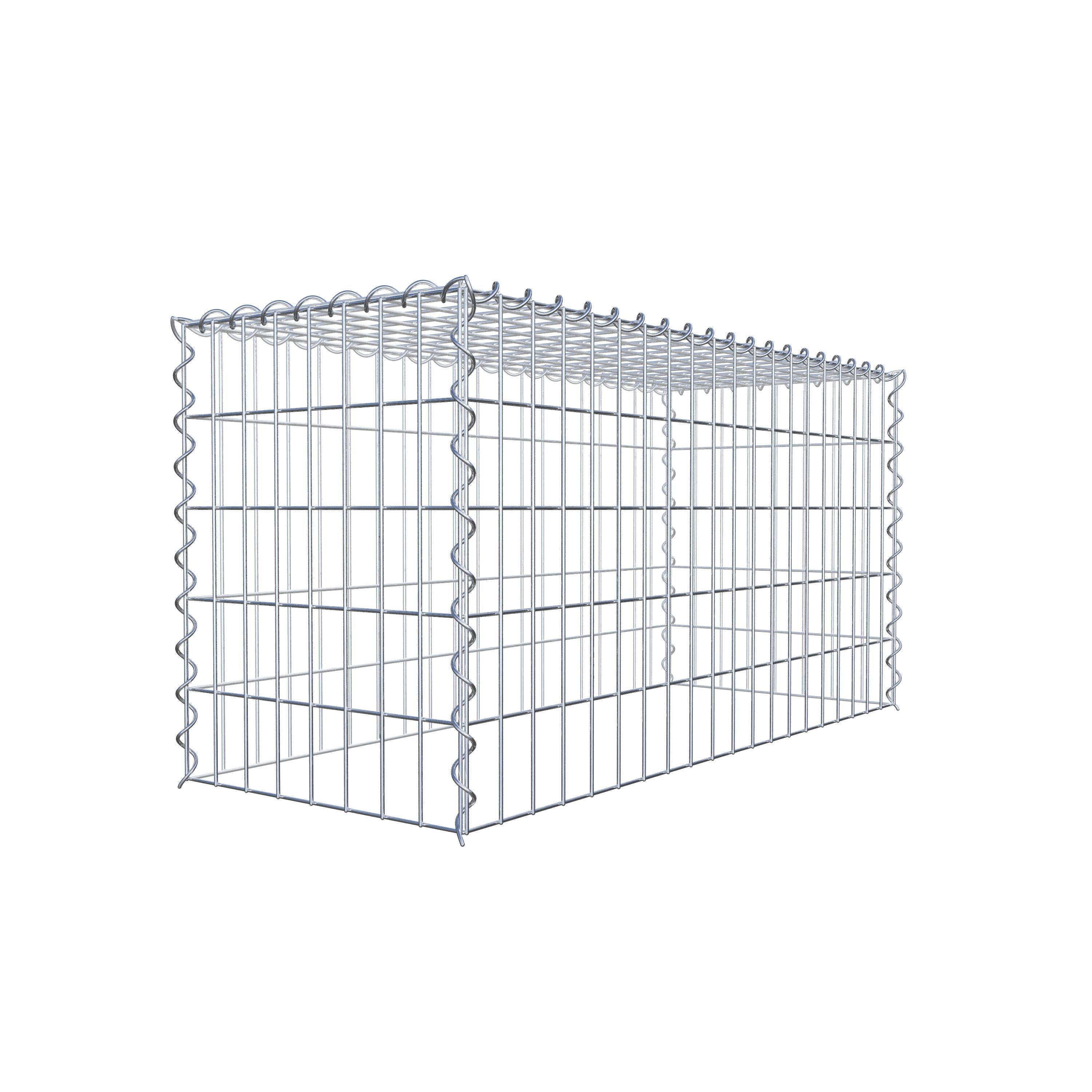 Grown-on gabion type 3 100 cm x 50 cm x 40 cm (L x H x D), mesh size 5 cm x 10 cm, spiral