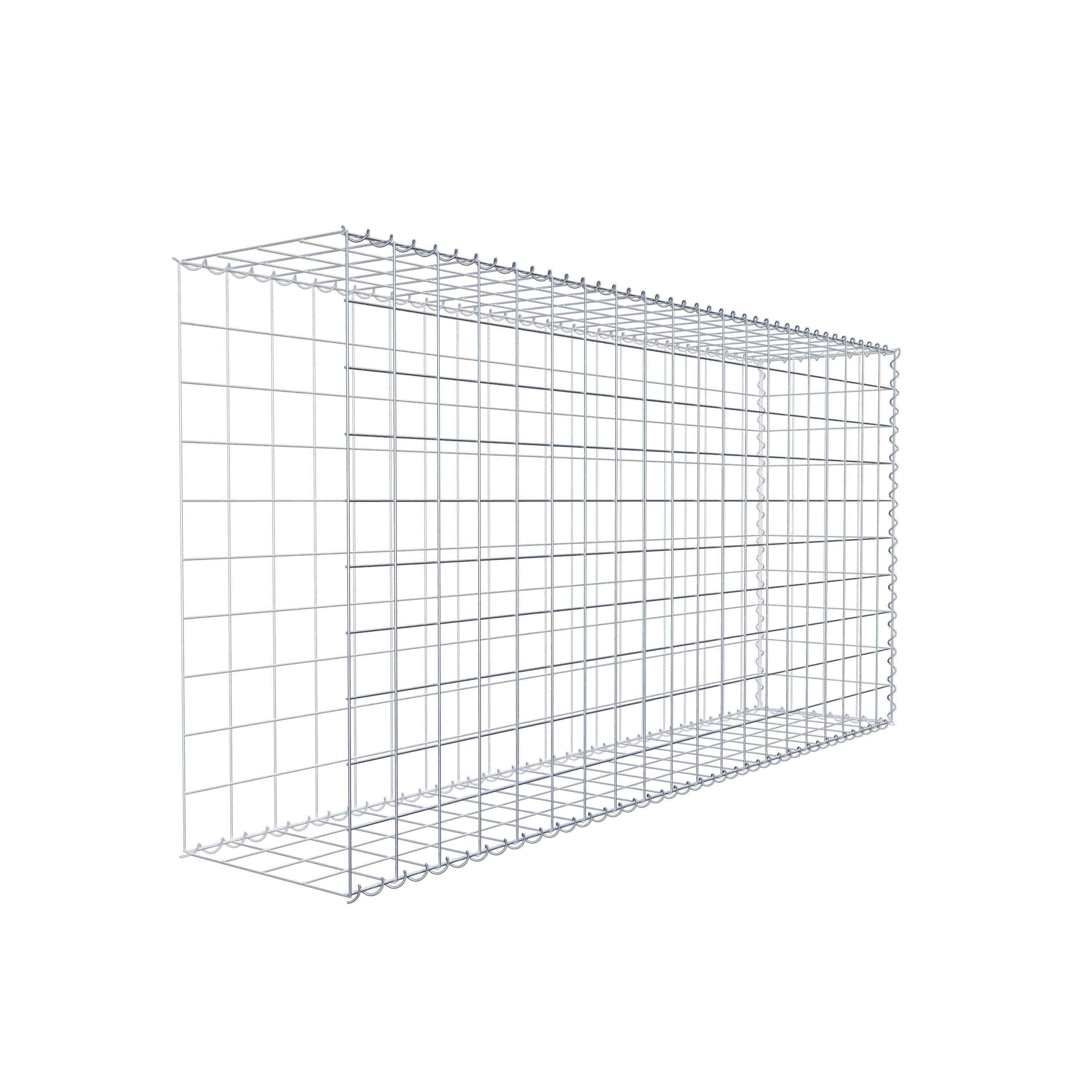 Grown-on gabion type 2 200 cm x 100 cm x 40 cm (L x H x D), mesh size 10 cm x 10 cm, spiral