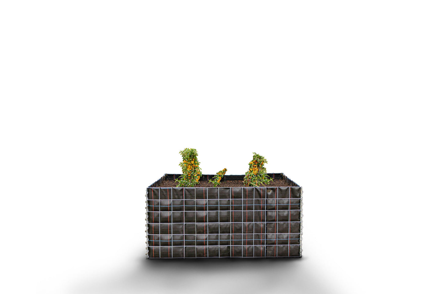 Canteiro quadrado elevado sem pedras 130 cm x 60 cm x 60 cm