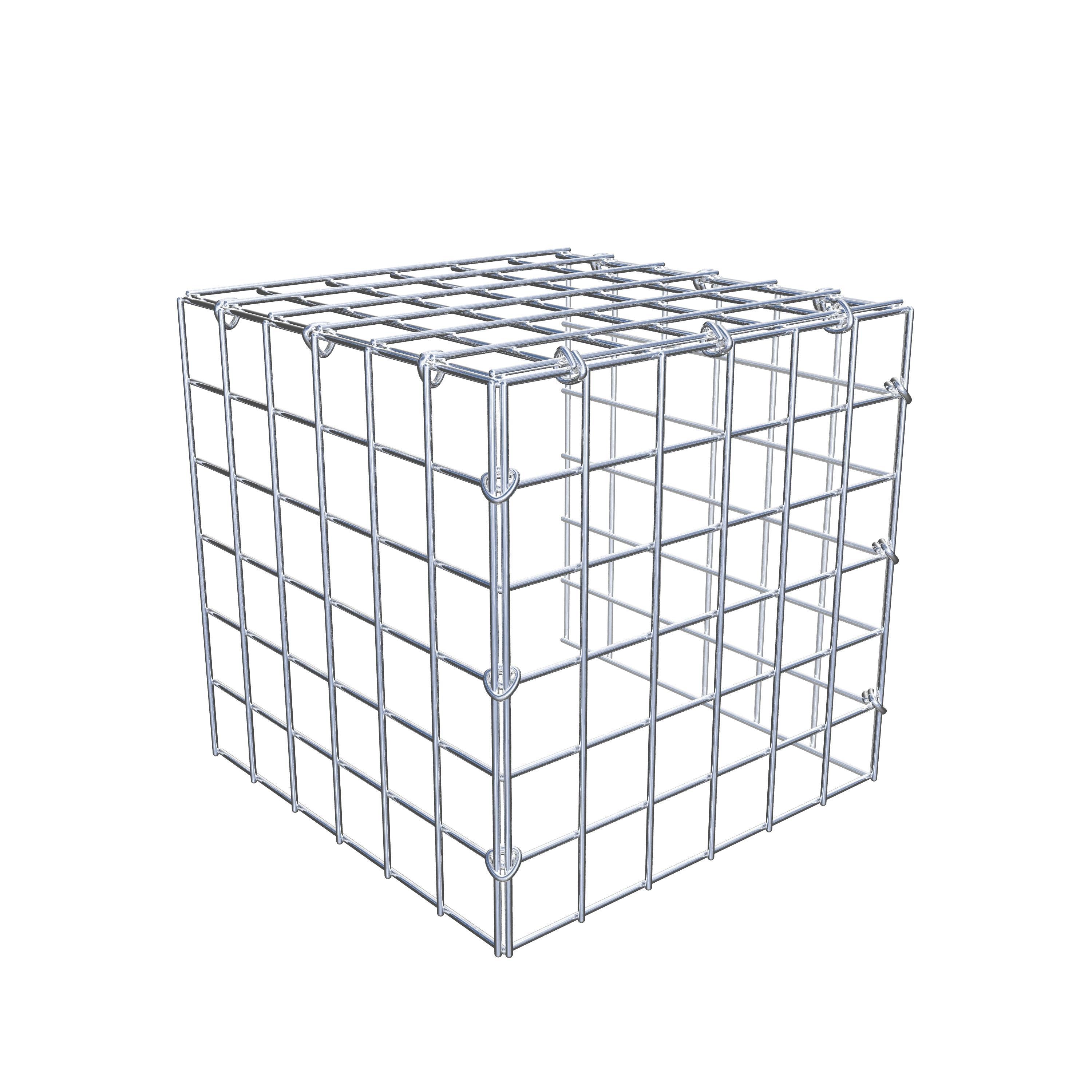 Opbouw schanskorf type 4 30 cm x 30 cm x 30 cm (L x H x D), maaswijdte 5 cm x 5 cm, C-ring
