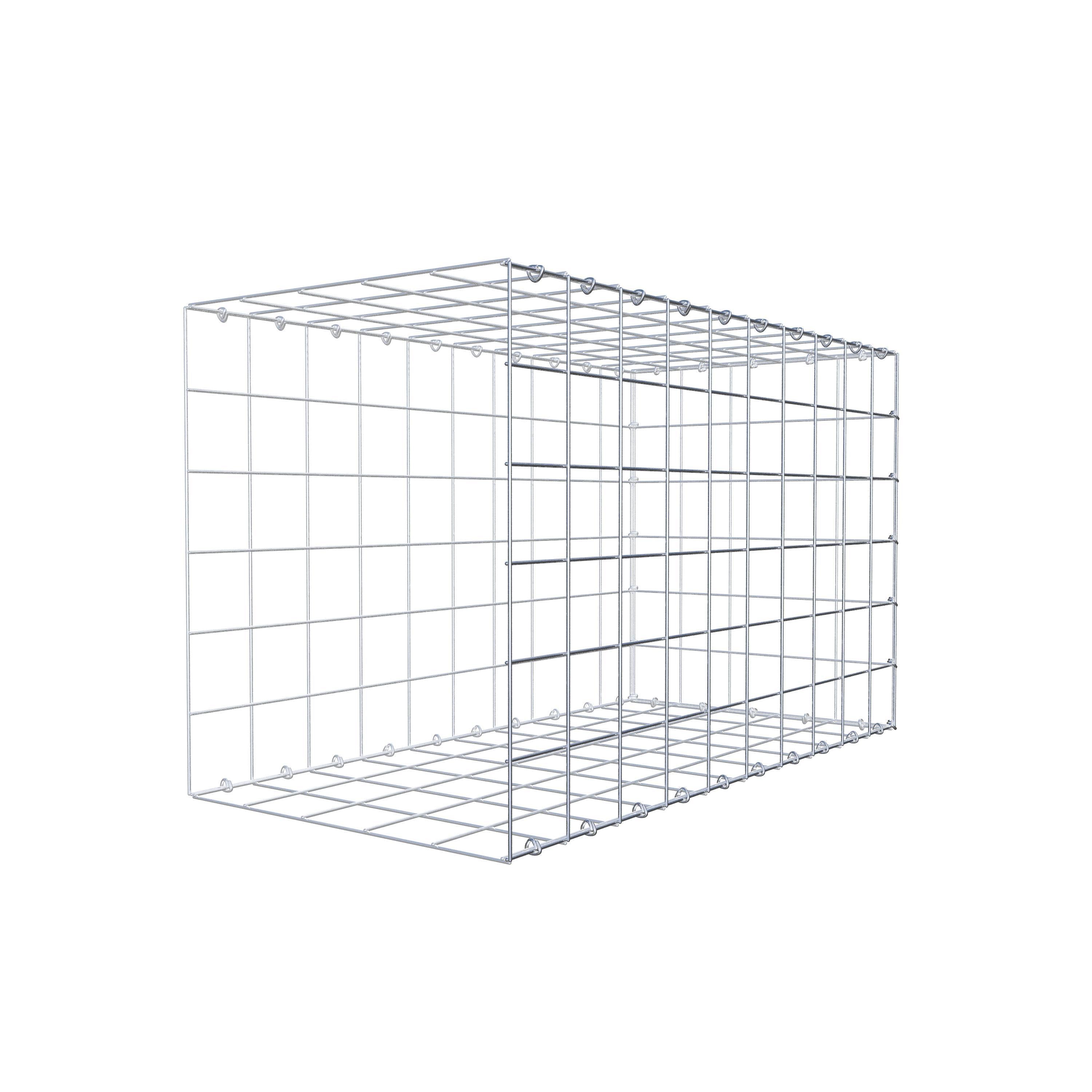 Type 2 oplegkorf 100 cm x 60 cm x 50 cm (L x H x D), maaswijdte 10 cm x 10 cm, C-ring