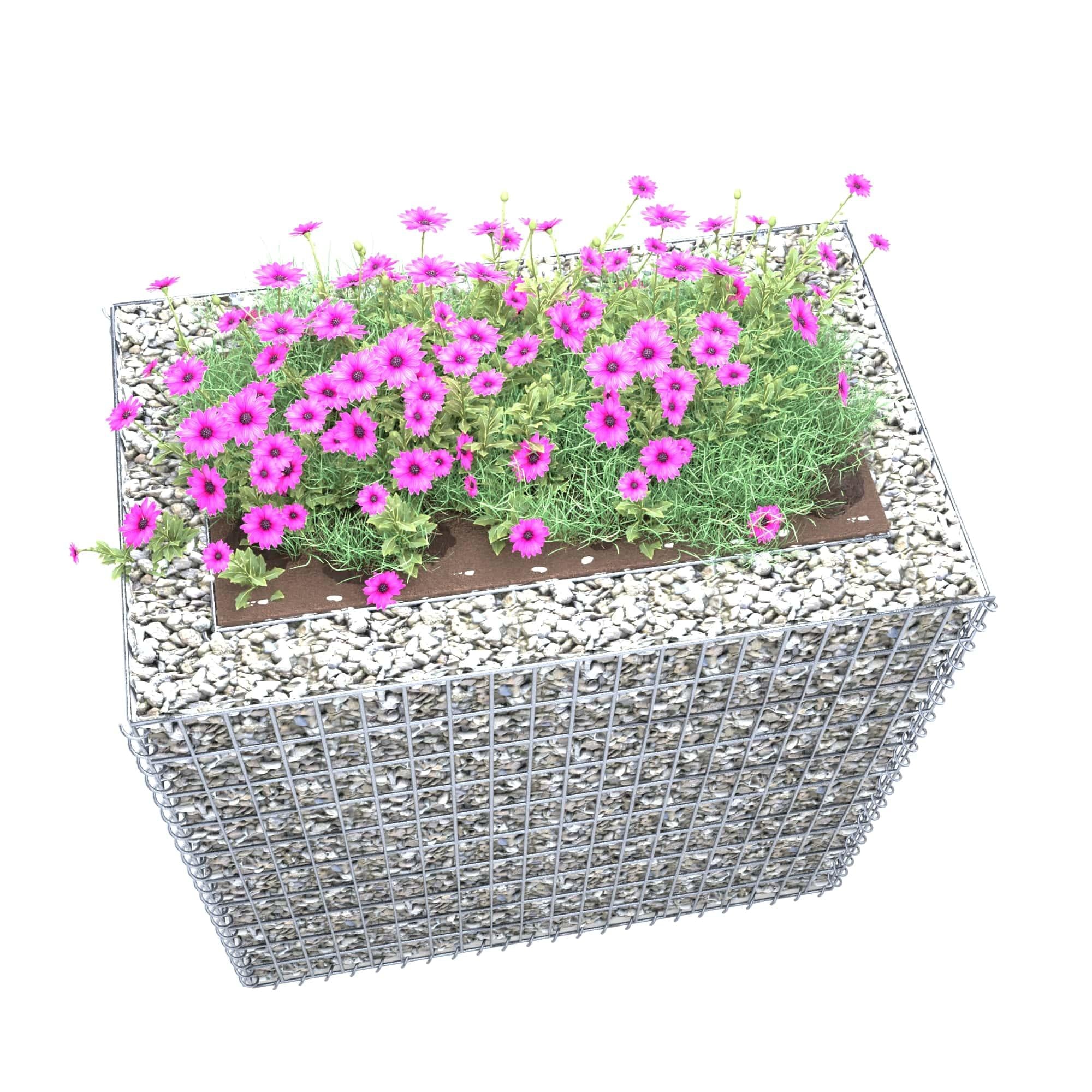 Raised bed square 100 cm x 100 cm x 60 cm (L x H x D), mesh size 5 x 10 cm, wall thickness 10 cm