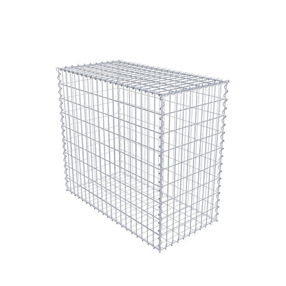 Gabion 100 cm x 90 cm x 50 cm (L x H x P), mailles 5 cm x 10 cm, spirale