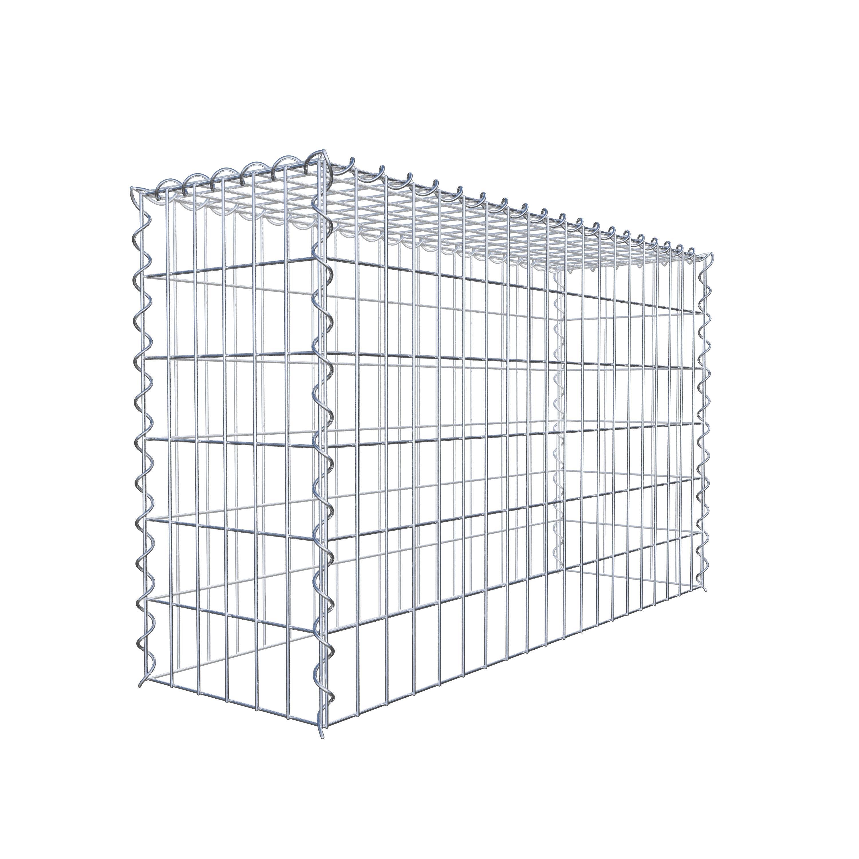 Aangegroeide schanskorf type 3 100 cm x 60 cm x 30 cm (L x H x D), maaswijdte 5 cm x 10 cm, spiraal