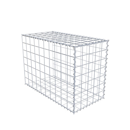 Grown-on gabion type 2 100 cm x 70 cm x 50 cm (L x H x D), mesh size 10 cm x 10 cm, spiral
