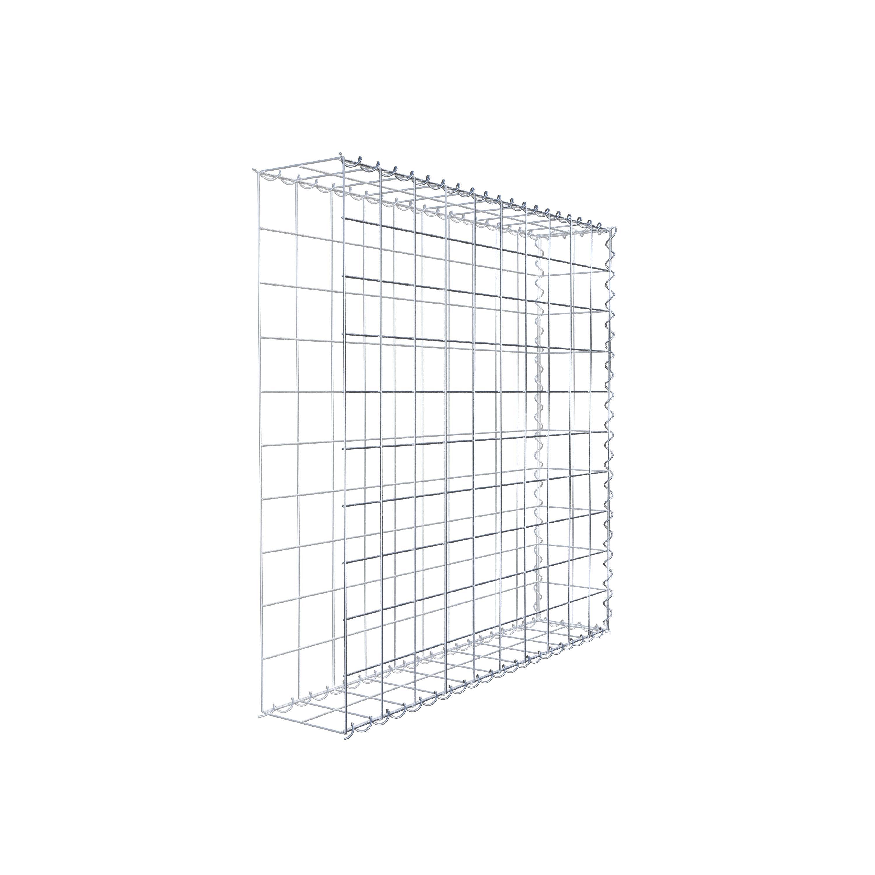 Grown-on gabion type 2 100 cm x 100 cm x 20 cm (L x H x D), mesh size 10 cm x 10 cm, spiral