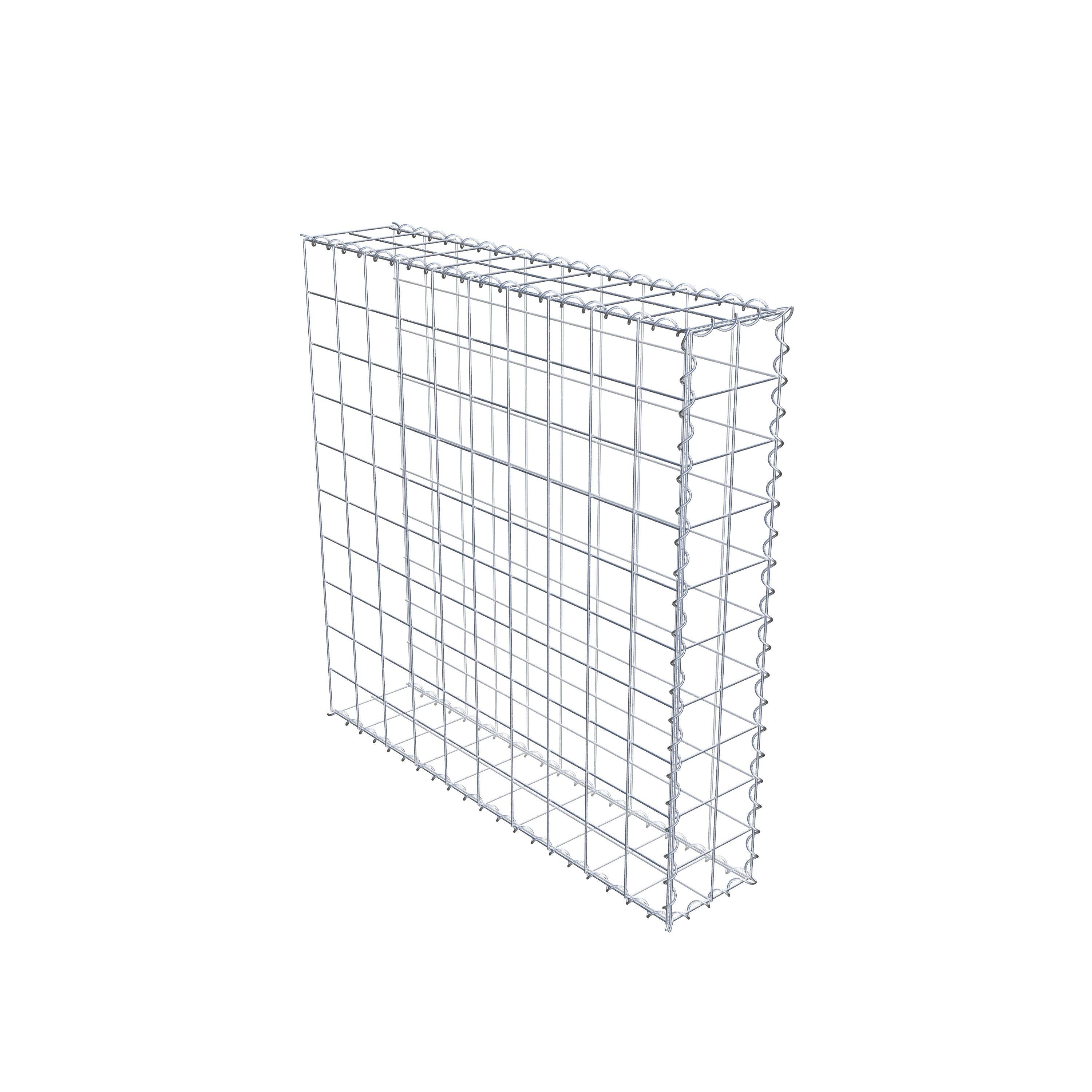 Grown-on gabion type 2 100 cm x 100 cm x 20 cm (L x H x D), mesh size 10 cm x 10 cm, spiral