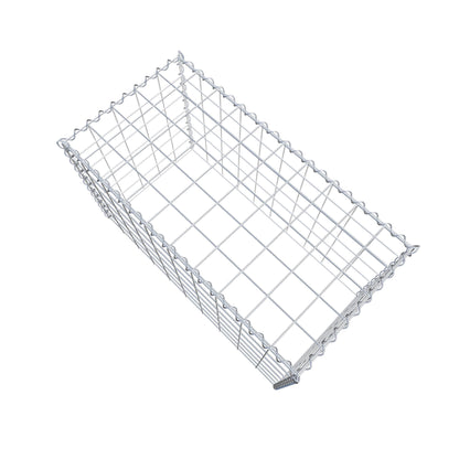 Grown-on gabion type 3 100 cm x 60 cm x 50 cm (L x H x D), mesh size 10 cm x 10 cm, spiral