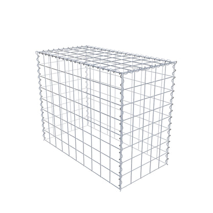 Grown-on gabion type 3 100 cm x 80 cm x 50 cm (L x H x D), mesh size 10 cm x 10 cm, spiral