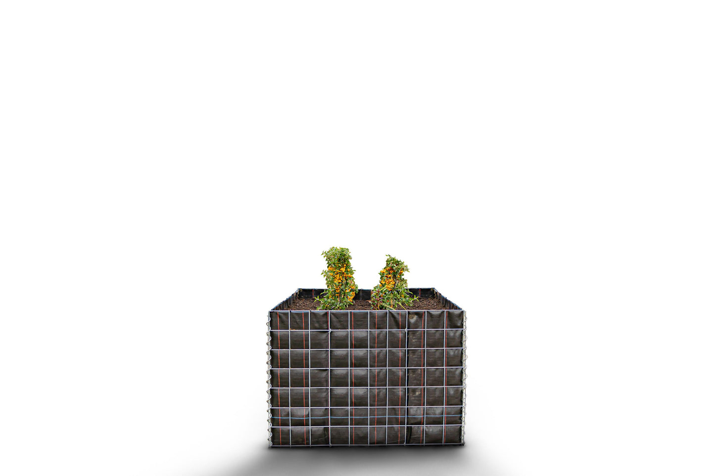 Canteiro quadrado elevado sem pedras 100 cm x 70 cm x 100 cm