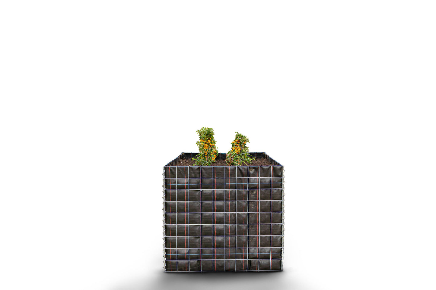 Cama elevada retangular sem área de pedra - Comprimento: 100 cm - Altura: 90 cm - Profundidade: 100 cm - Malha: 10 x 10 cm