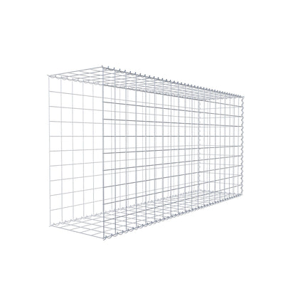 Grown-on gabion type 2 200 cm x 100 cm x 50 cm (L x H x D), mesh size 10 cm x 10 cm, spiral