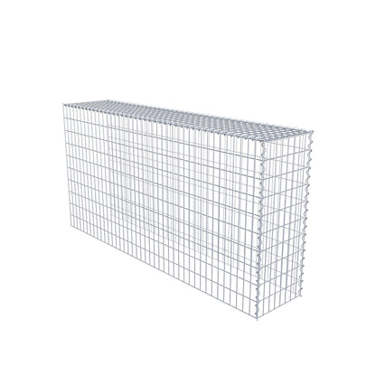 Grown-on gabion type 4 200 cm x 100 cm x 40 cm (L x H x D), mesh size 5 cm x 10 cm, spiral