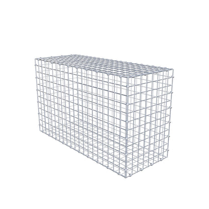 Gabion 100 cm x 60 cm x 40 cm (L x H x D), maskestørrelse 5 x 5 cm, spiralring