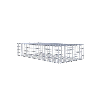 Gabion 100 cm x 20 cm x 50 cm (L x H x D), maskstorlek 5 cm x 5 cm, C-ring