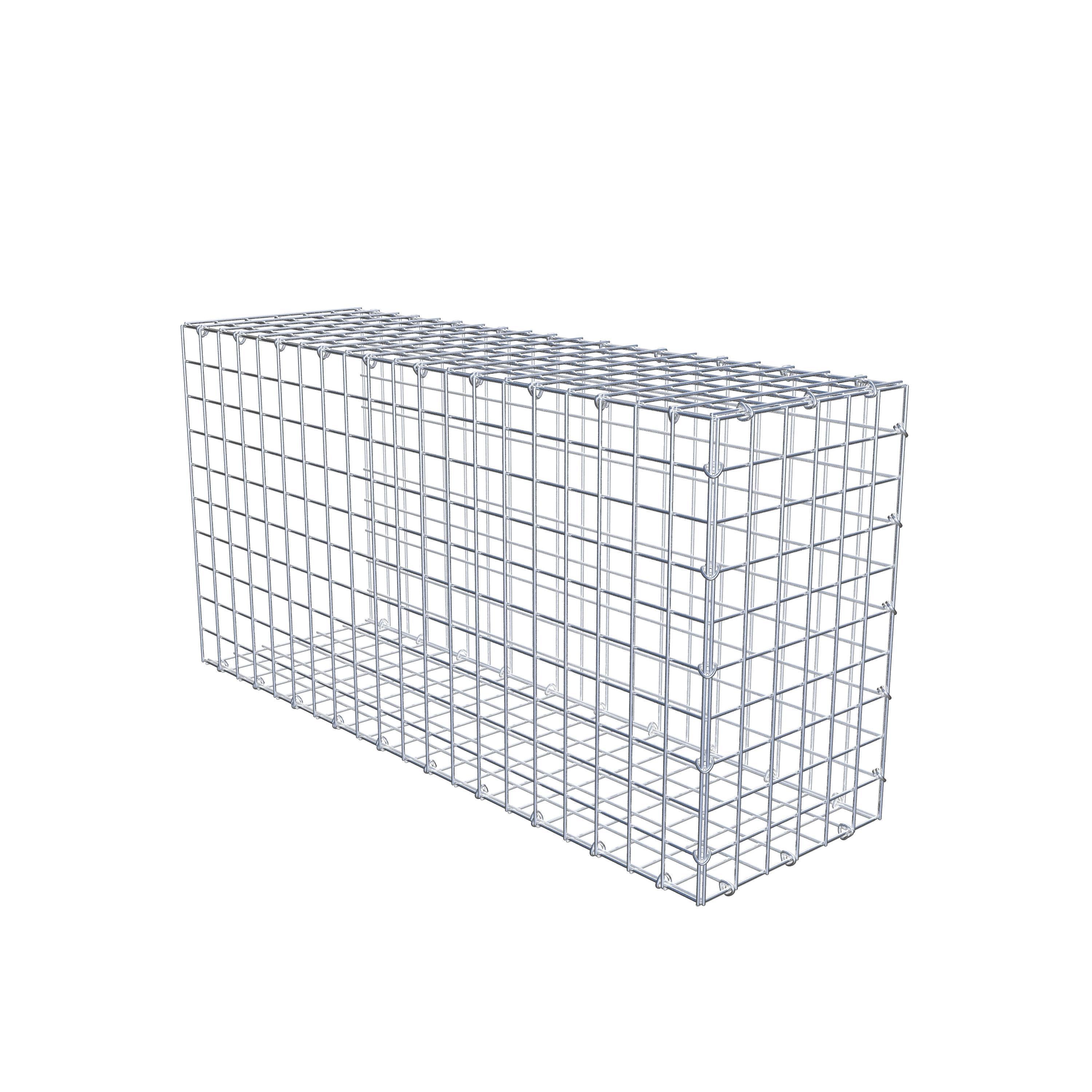 Schanskorf type 2 100 cm x 50 cm x 30 cm (L x H x D), maaswijdte 5 cm x 5 cm, C-ring