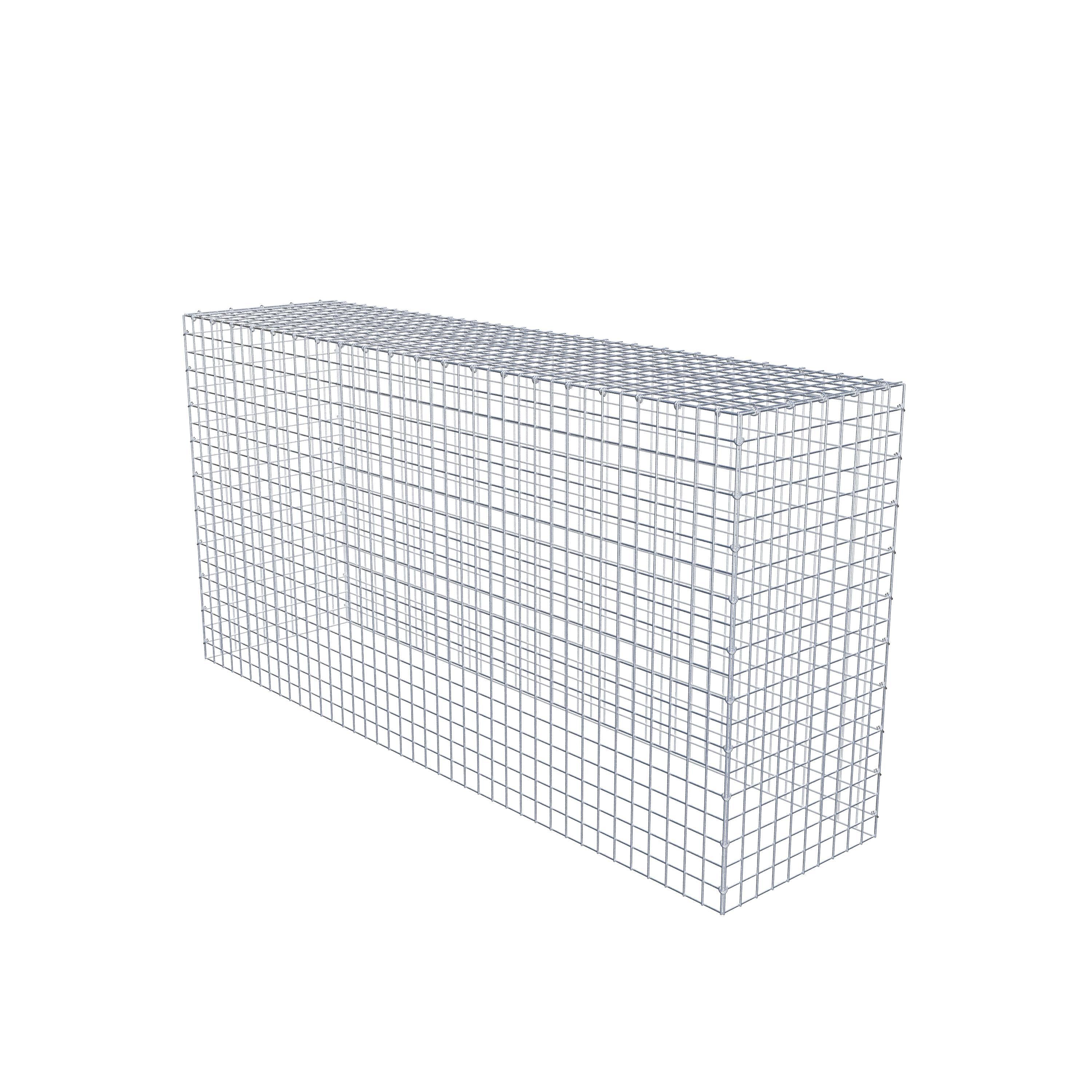 Schanskorf type 3 200 cm x 100 cm x 50 cm (L x H x D), maaswijdte 5 cm x 5 cm, C-ring