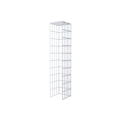 Monteret gabion type 4 100 cm x 20 cm x 20 cm (L x H x D), maskestørrelse 5 cm x 10 cm, C-ring