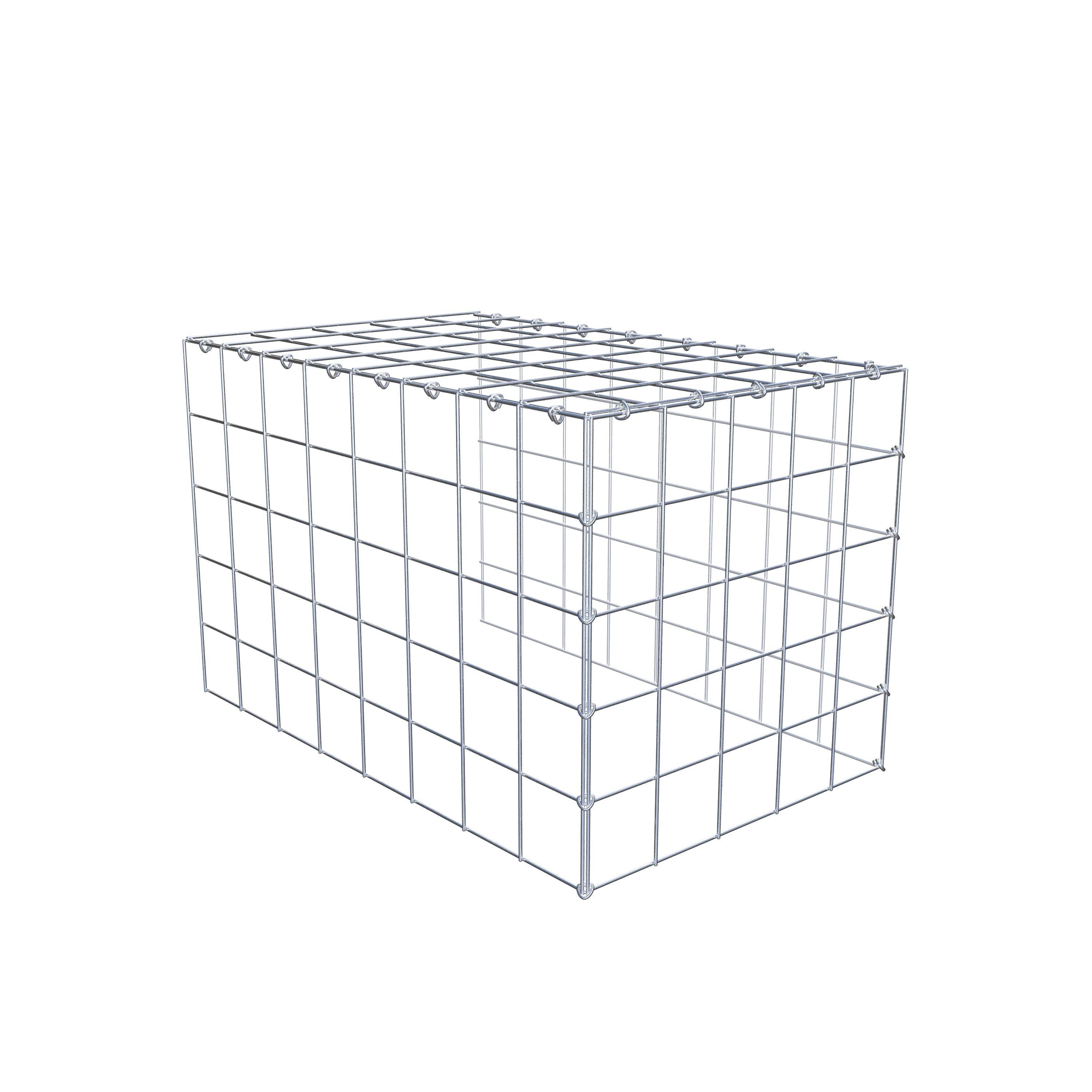 Schanskorf type 4 80 cm x 50 cm x 50 cm (L x H x D), maaswijdte 10 cm x 10 cm, C-ring