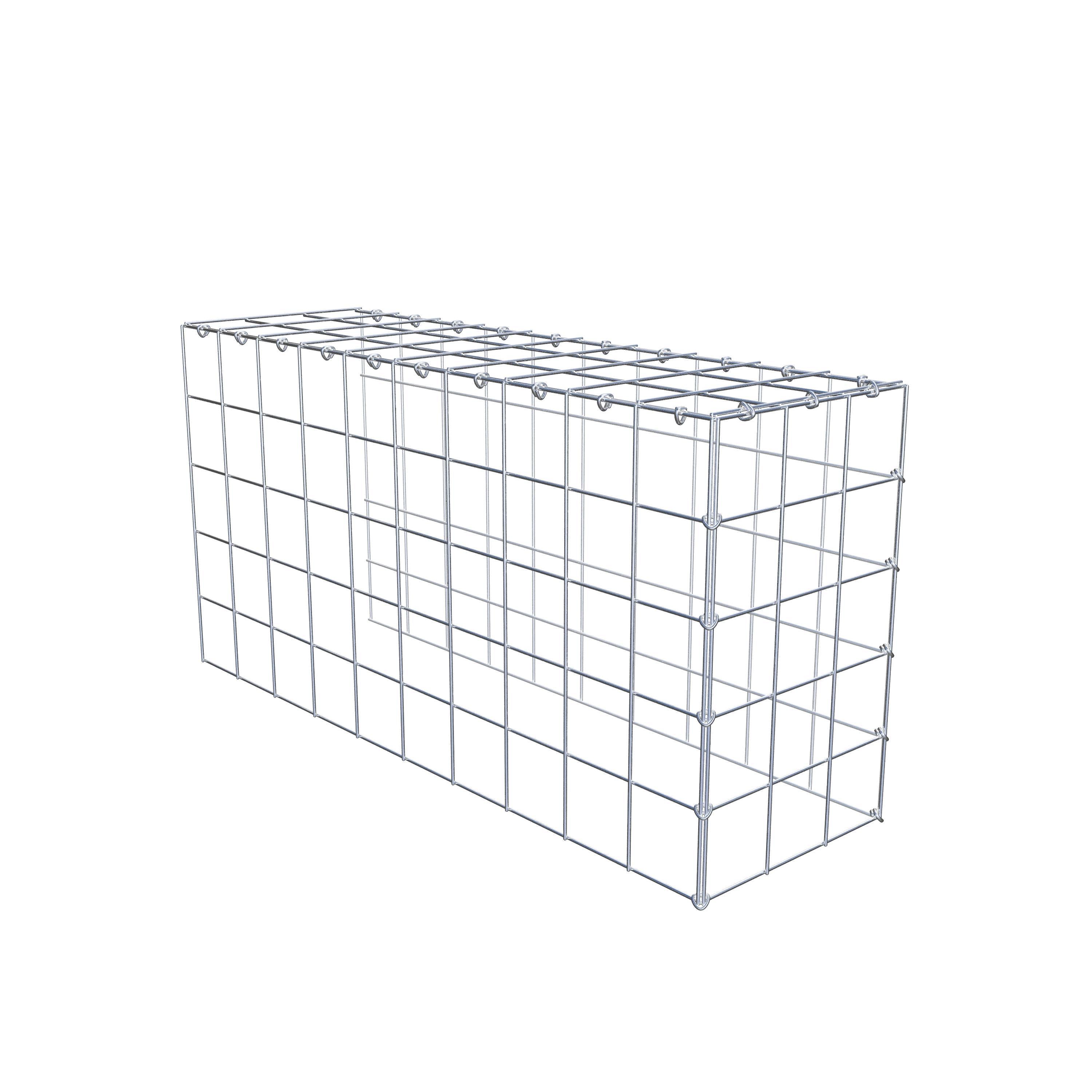 Schanskorf type 4 100 cm x 50 cm x 30 cm (L x H x D), maaswijdte 10 cm x 10 cm, C-ring