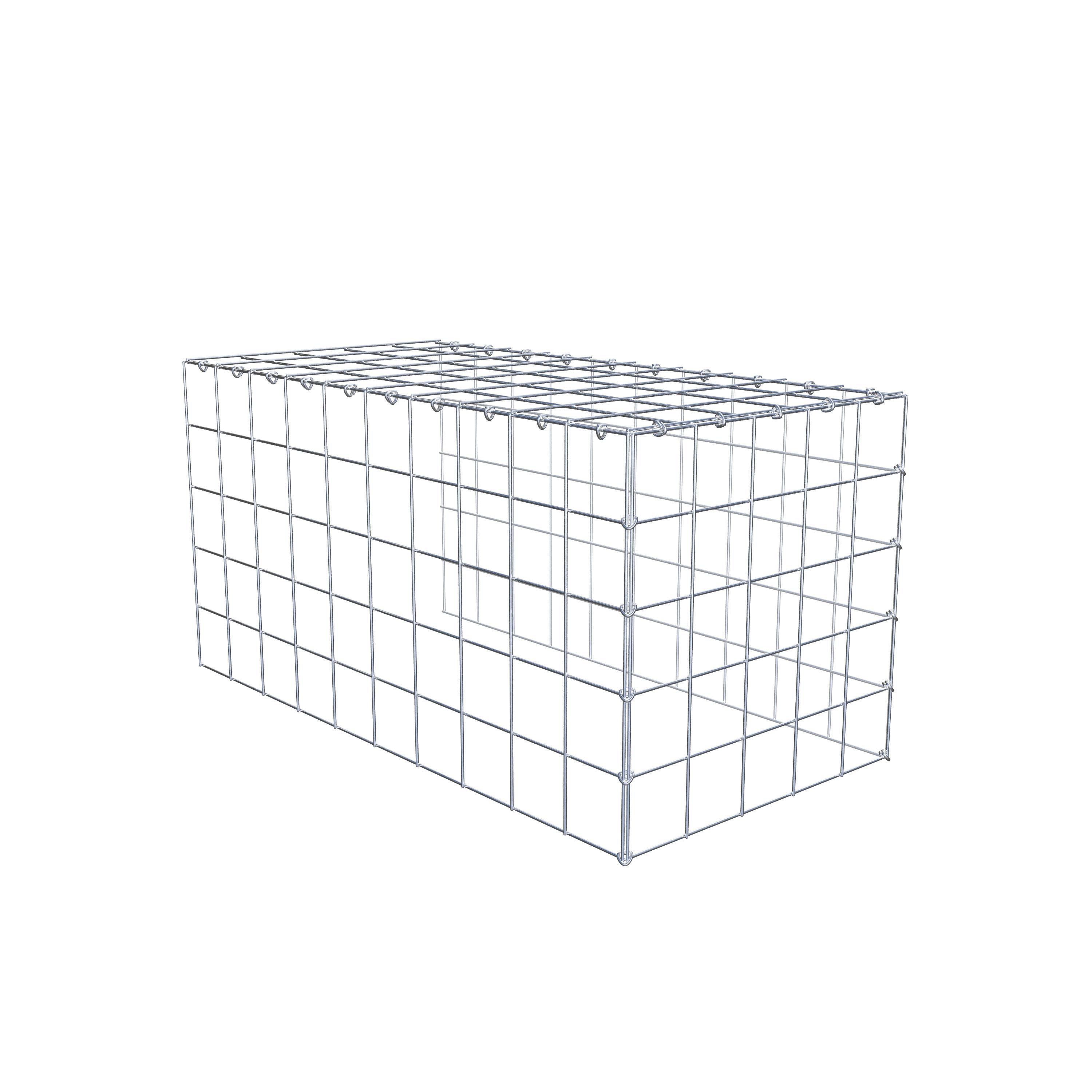 Schanskorf type 4 100 cm x 50 cm x 50 cm (L x H x D), maaswijdte 10 cm x 10 cm, C-ring