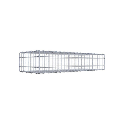 Gabione 05x05 100x020x040 Typ1 C-Ring