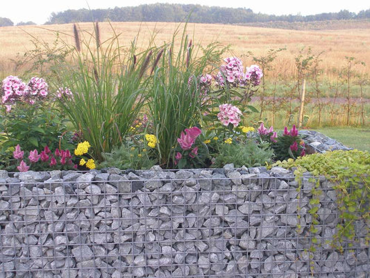 Gabion verhoogd plantenbed op maat gemaakt - maaswijdte 5x5cm