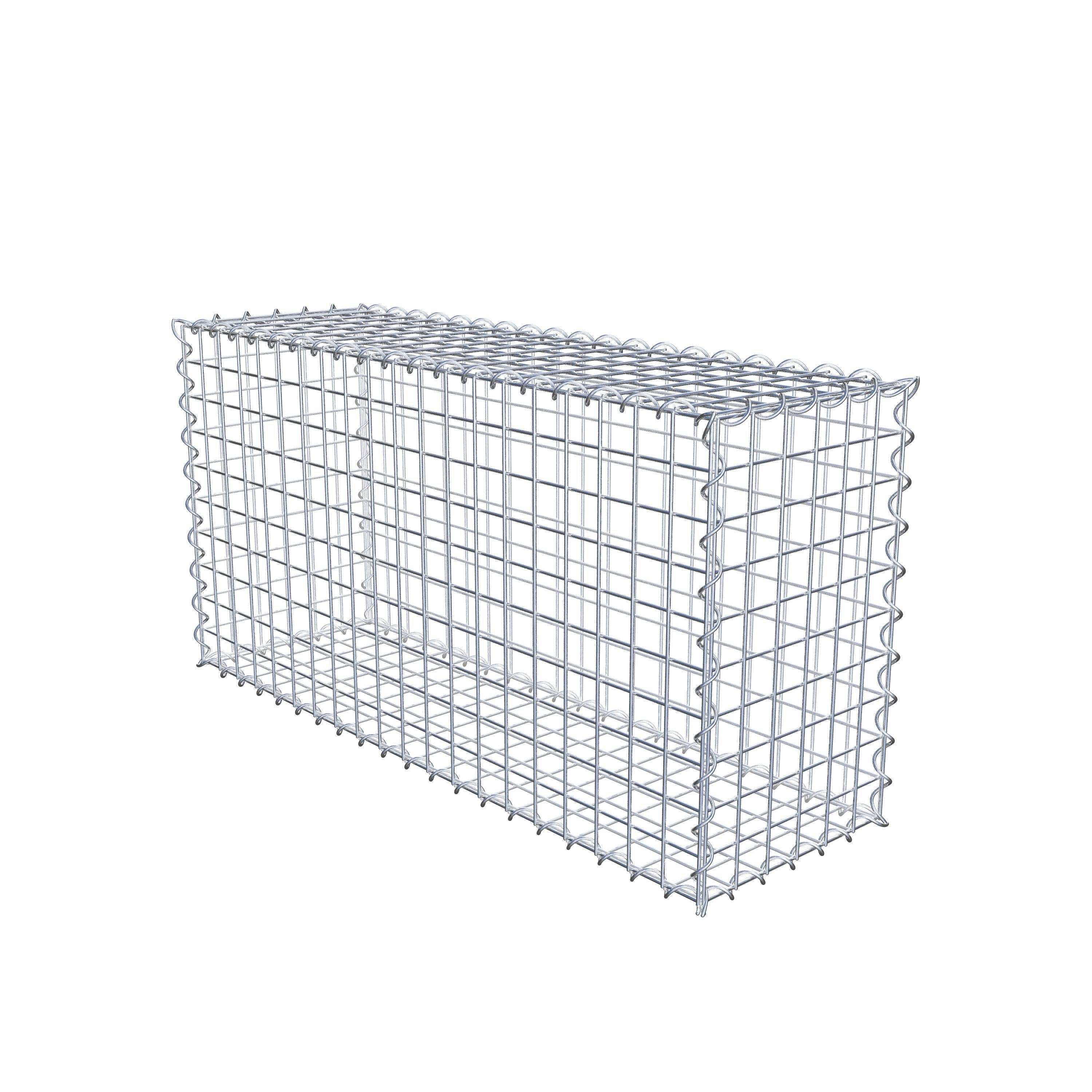 Lot de 2 gabions 100 cm x 50 cm x 30 cm (L x H x P), mailles 5 x 5 cm, spirale