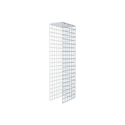 Anbaugabione Typ 4 100 cm x 30 cm x 20 cm (L x H x T), Maschenweite 5 cm x 5 cm, C-Ring