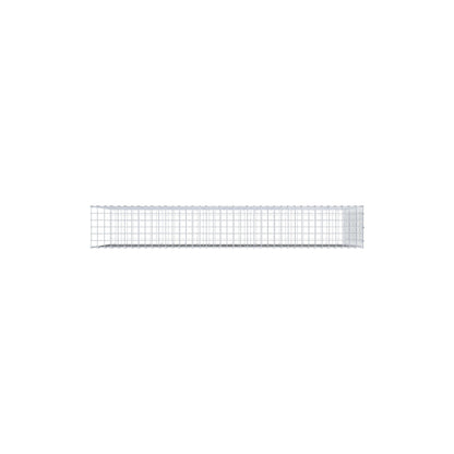 Bevestigbare schanskorf type 2 200 cm x 100 cm x 30 cm (L x H x D), maaswijdte 5 cm x 5 cm, C-ring