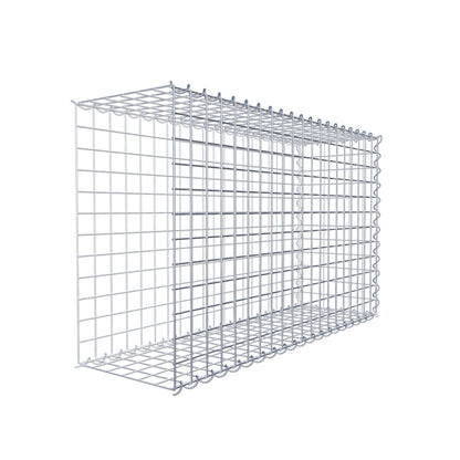 Aangegroeide schanskorf type 2 100 cm x 60 cm x 30 cm (L x H x D), maaswijdte 5 cm x 5 cm, spiraal