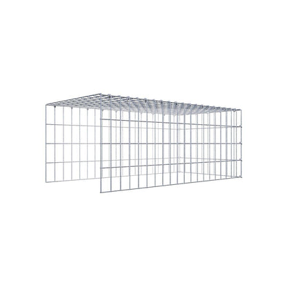 Gabione 05x10 100x040x050 Typ4 C-Ring