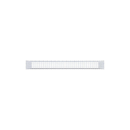 Gabbione 200 cm x 100 cm x 20 cm (L x H x P), maglia 5 x 5 cm, anello a spirale
