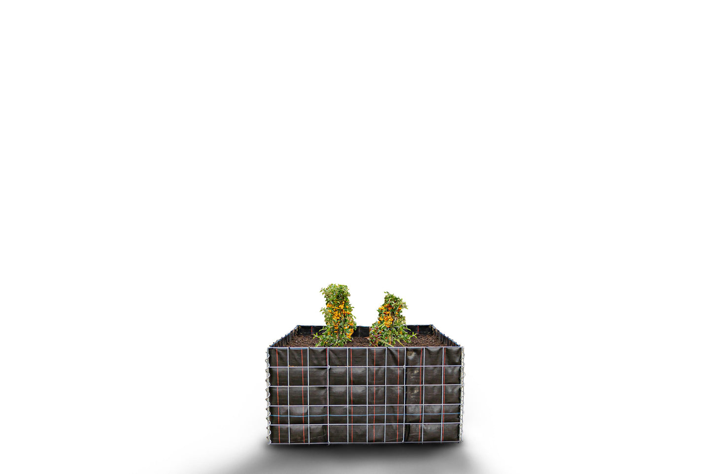 Lecho elevado rectangular sin zona de piedras - Longitud: 100 cm - Altura: 50 cm - Profundidad: 50 cm - Luz de malla: 10 x 10 cm