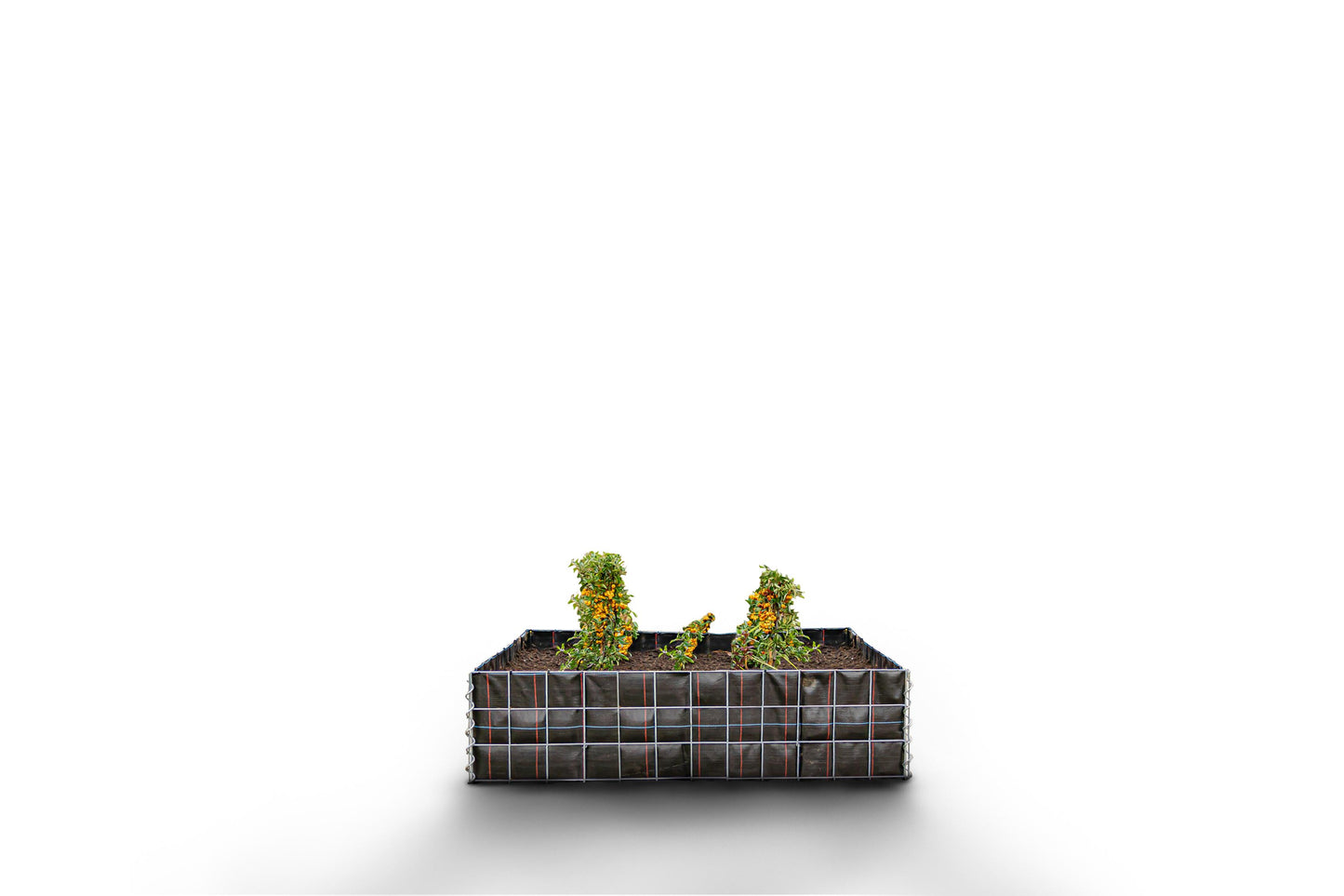 Högbädd, fyrkantig utan stenområde - Längd: 120 cm - Höjd: 30 cm - Djup: 50 cm - Maskstorlek: 10 x 10 cm